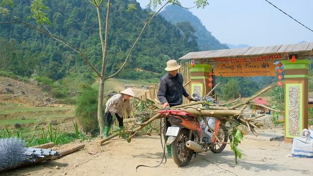 Sustainable Agriculture Sang Vy Planting Trees To Create Shade And Taking Care Of Farm Gardens