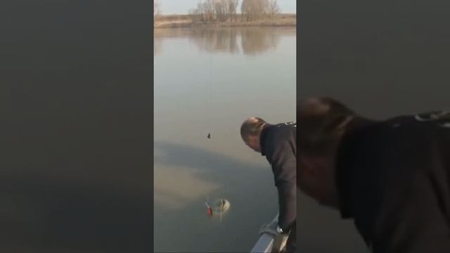 Братья поймали самого крупного Сома в истории !!! 130 КГ !!!!!! смотреть онлайн