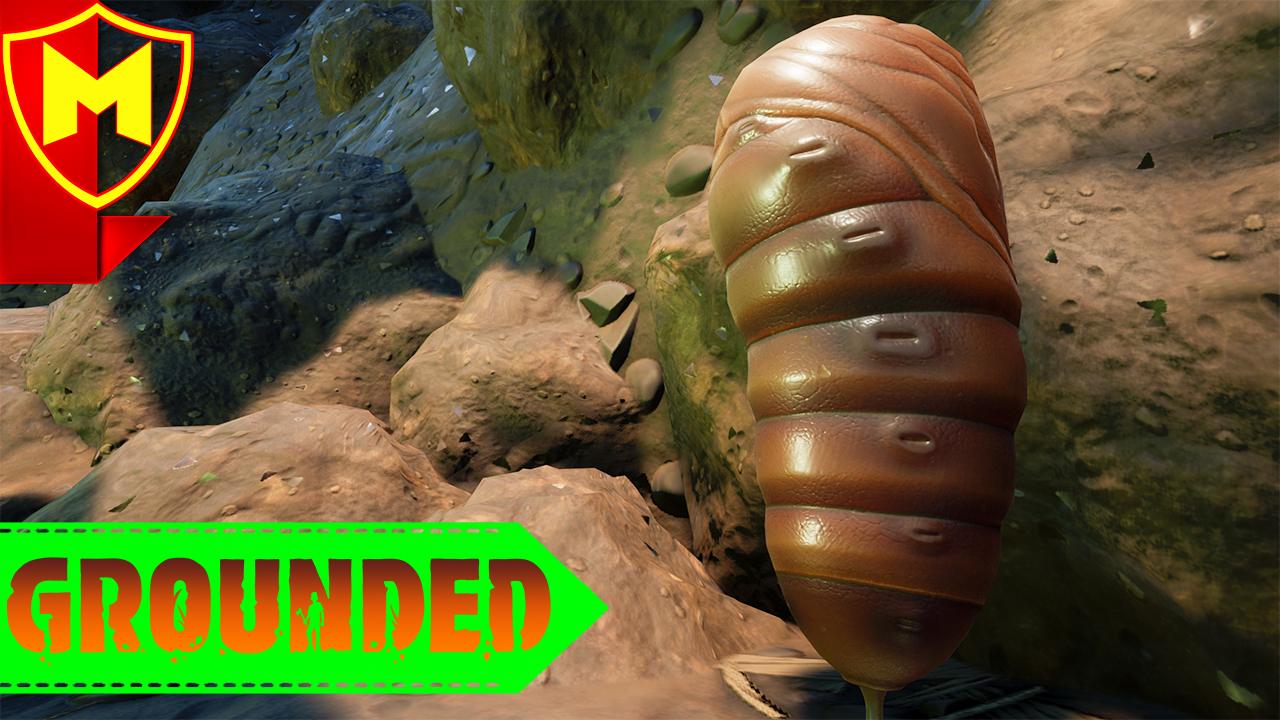 Grounded ➤ ГДЕ НАЙТИ НАЙТИ КУКОЛКИ / КАК СДЕЛАТЬ КОЖИЦУ КУКОЛКИ .mp4 смотреть онлайн