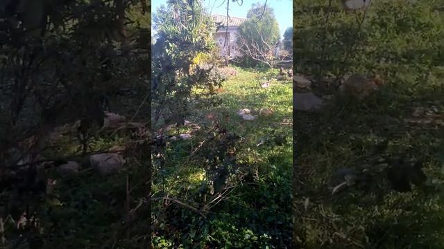 Одно расстройство.. смотреть онлайн