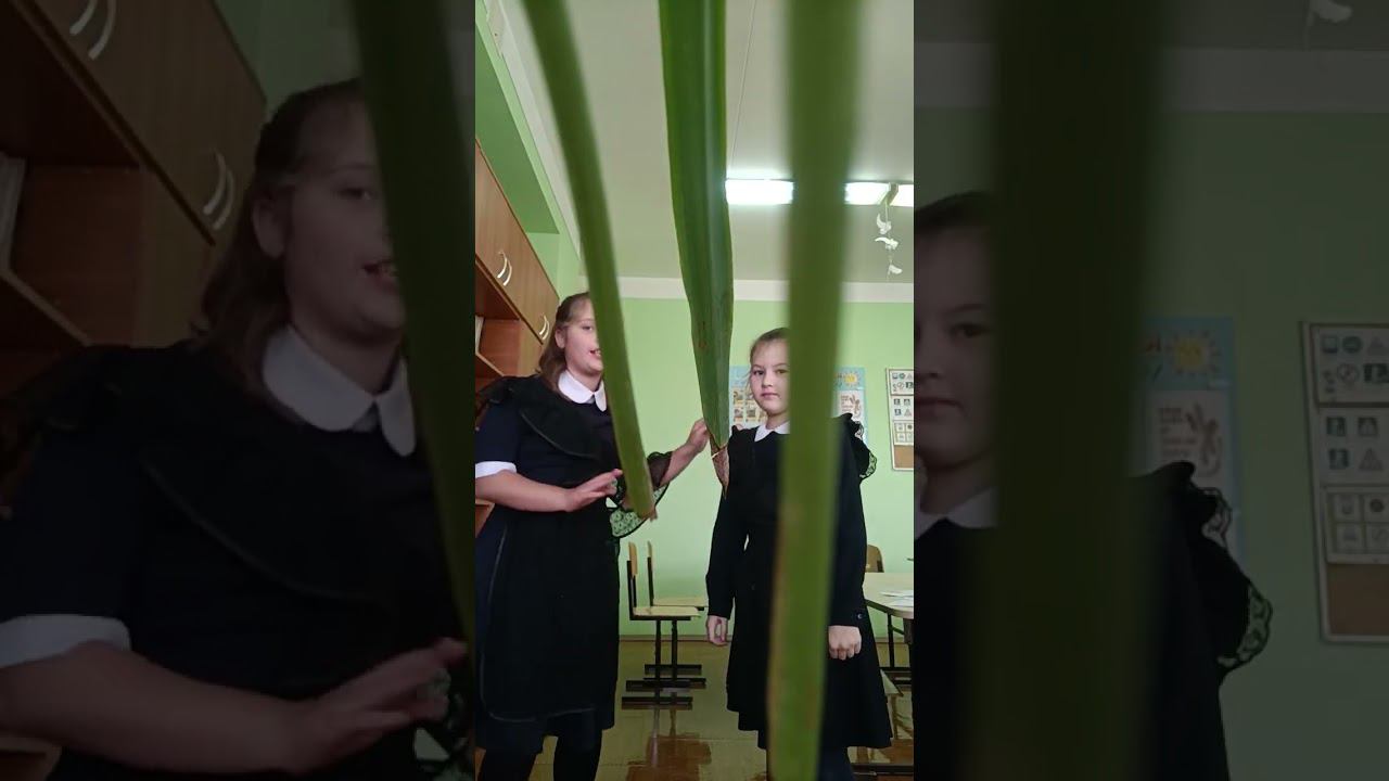 12 сентября 2023 г. смотреть онлайн