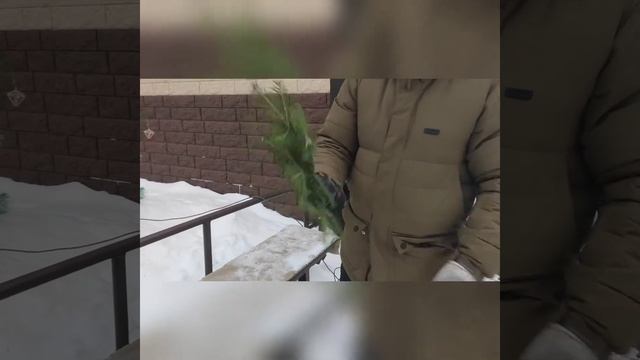 Испытано на себе: Пихтовый веник смотреть онлайн