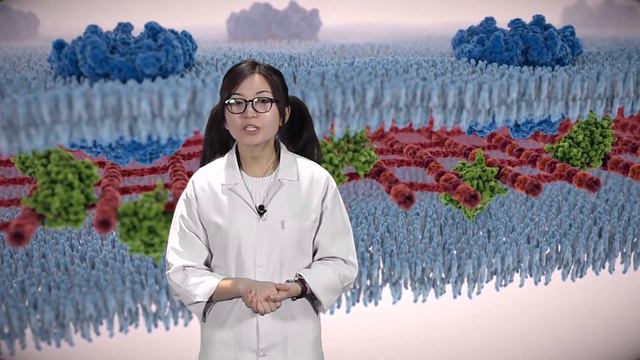 Что такое антибиотикорезистентность? смотреть онлайн