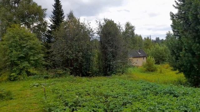 Сам по себе: Строю дачу и живу на дачи с нуля!!! смотреть онлайн