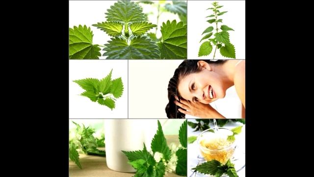 КАК ОТРАСТИТЬ ВОЛОСЫ При помощи КРАПИВЫ смотреть онлайн