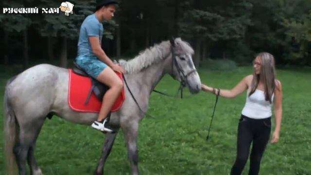 РУССКИЙ ХАЧ - КАК ПРАВИЛЬНО ОСЕДЛАТЬ ЖЕРЕБЦА (ЛОШАДЬ) смотреть онлайн