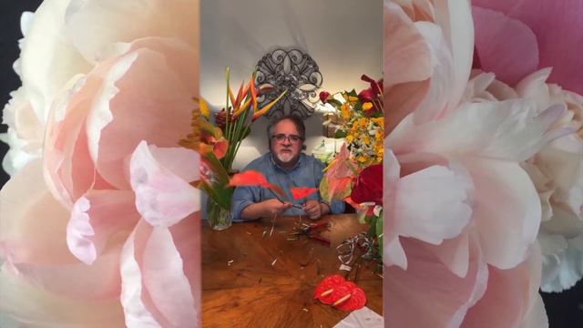 Amazing Tropicals from Green Point Nurseries! Replay of my Instagram Live смотреть онлайн