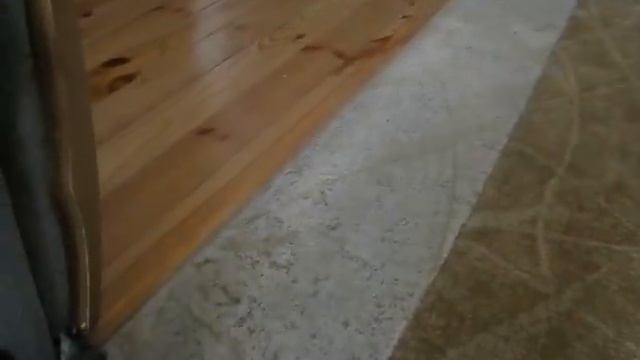 Щенки цвергпинчера от Лаки