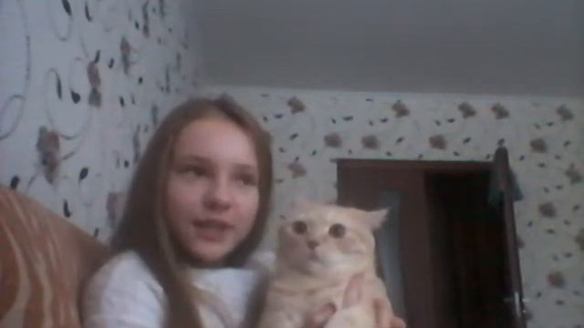 Мой питомец ?| Самый милый котик на свете! | смотреть онлайн