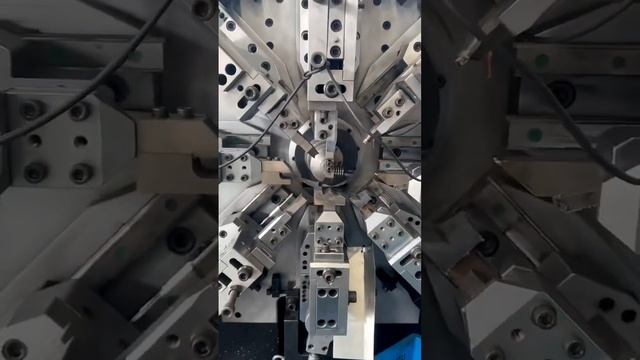 coiling spring смотреть онлайн