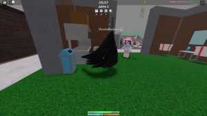 ЧТО БУДЕТ, ЕСЛИ ПОКРАСИТЬ ПОДАРОК В ИКЕЕ? Roblox 3008