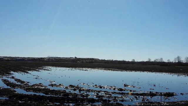 Шатурская свалка 14 апреля 2018 года смотреть онлайн
