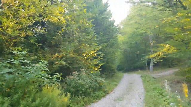 Sovata - Tur Complet - Muntele de sare si lacurile din Sovata - Therapeutic Spa Paradise смотреть онлайн