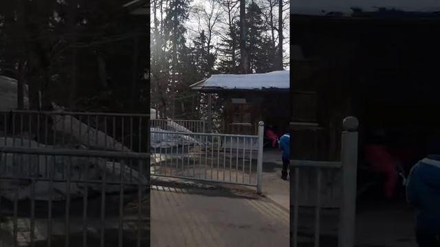 Замок Нойшванштайн в Швангау, Бавария смотреть онлайн