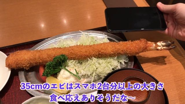 【独身男の出張メシ #29】名古屋絶品グル11店！食べ歩きひとり旅／観光オススメご飯旅行【愛知・名古屋編 第1夜】