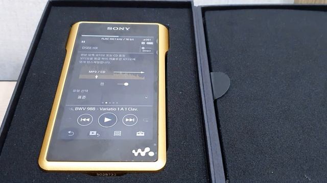 소니 워크맨 WM1Z 터치 스크린 인터페이스 смотреть онлайн