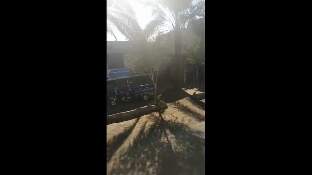 Luxor adventure смотреть онлайн