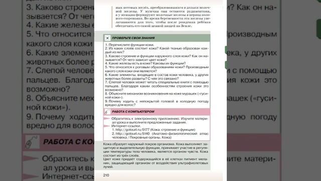 Биология 9к СТР-207 Строение и функции кожи смотреть онлайн