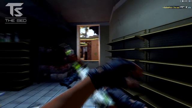 The sed 1vs5 with AK-47 смотреть онлайн