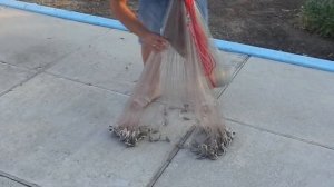 АЗОВ СЕТИ | Кастинговая сеть с БОЛЬШИМ кольцом заброс и без кольца  (azovseti.ru)