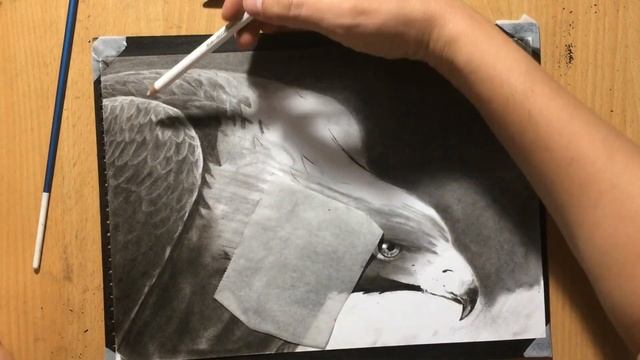Charcoal Drawing of an Eagle смотреть онлайн