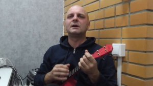 "Всё идёт по плану" (Егор Летов) на укулеле