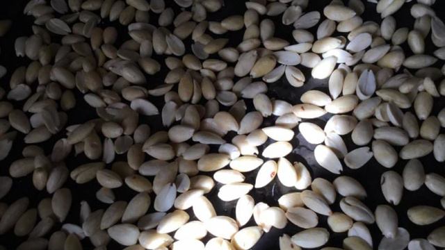 Готовим дома