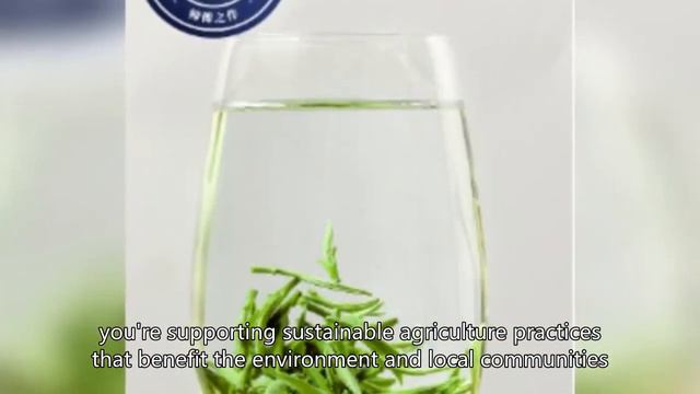 Organic green tea peppermint, green tea pregnancy, organic green tea price, organic green tea, Chin смотреть онлайн