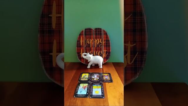 #KARMIC #TAROT THIS KARMIC FEM IS TERRIFIED NOW B/CUZ OF SOMETHING THAT HAPPENED LAST NIGHT 2 HER.. смотреть онлайн