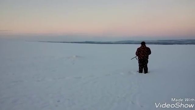 Охота с ягдтерьером, двойной выход лисы