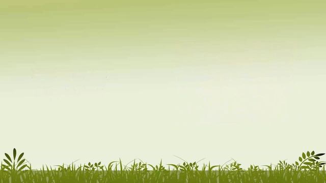 If You Drink Coconut Water Daily Then This Will Happen To Your Body – Benefits Of Coconut Water смотреть онлайн