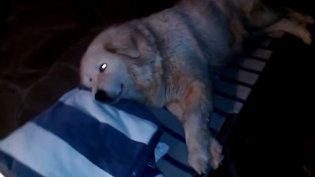 Колыбельная для Беты/ Lullaby for Beta смотреть онлайн