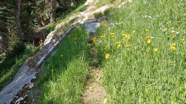 Box Lake and Eagle Lake - Rocky Mountain National Park смотреть онлайн