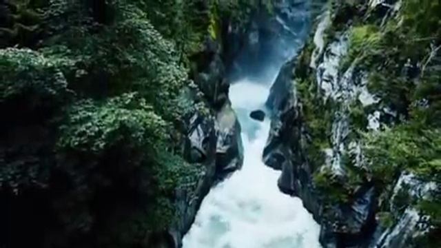 Последний шанс извиниться. Дело на контроле в Москве) смотреть онлайн