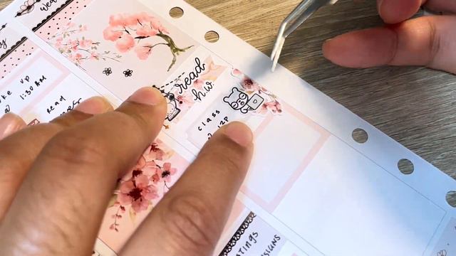 ✧･ﾟsakura ★ saucystickersco ✧ plan with me ･ﾟ✧ смотреть онлайн