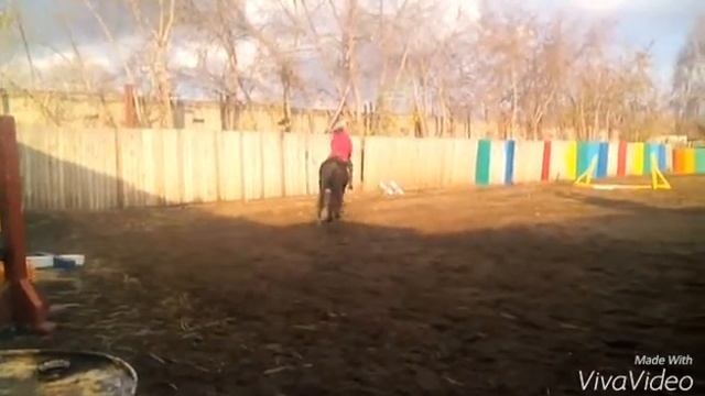 Конный клуб "Заря" смотреть онлайн