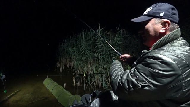 Вот это Оторвался! Ловля на Фидер с Ночёвкой на Озере! Рыба - Есть, Она не Может не Есть! смотреть онлайн