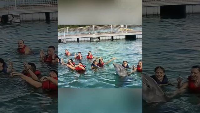 Куба 2022 январь смотреть онлайн