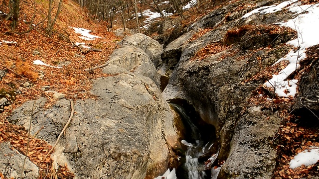 DSC_5540 смотреть онлайн