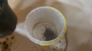 Рассада на ФИТИЛЬНОМ ПОЛИВЕ! Как его сделать, какие бывают виды, для каких растений?