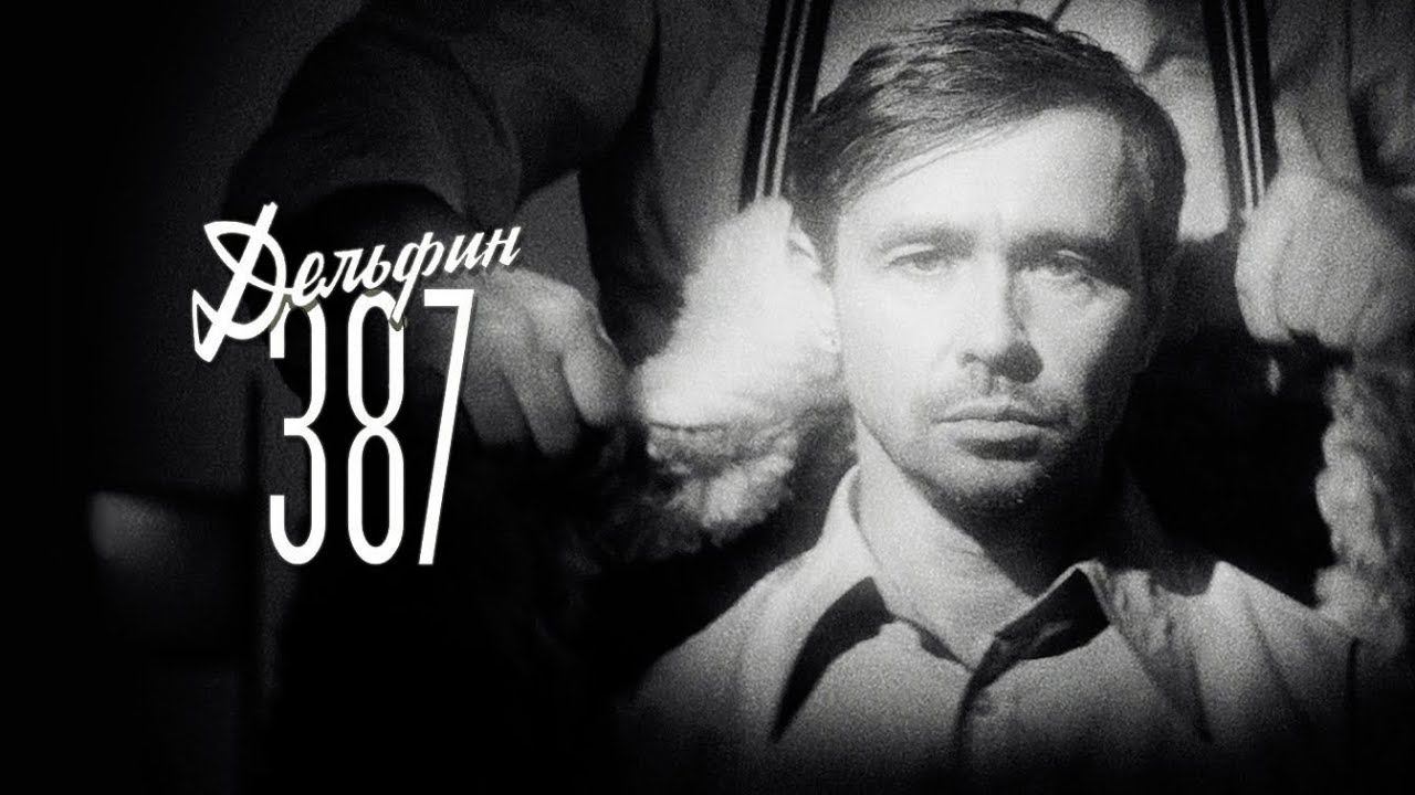 Дельфин — 387 смотреть онлайн