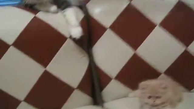 Изображение 1611 смотреть онлайн