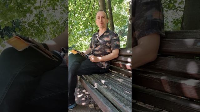 М Волошин. Часть 2. Конструктивная активность и навыки осознанности. смотреть онлайн