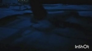 Перелёт а/к S7 Savelii Airlines Airbus A320 Савелий - Пушкино