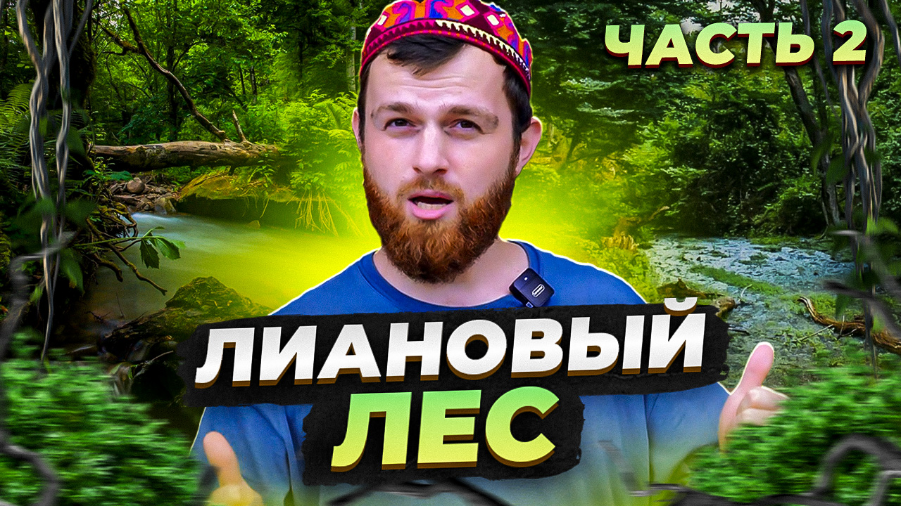 ПОЕЗДКА В ЛИАНОВЫЙ ЛЕС ЧАСТЬ 2.