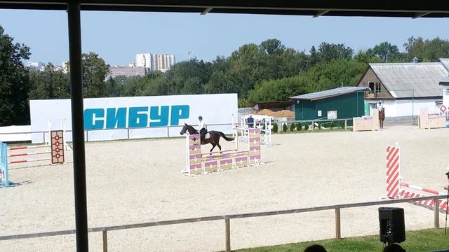 Соревнования по конкуру в кск пассаж. Нижний Новгород. 16.07.2016г. смотреть онлайн