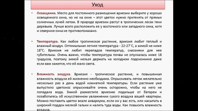 Вриезия смотреть онлайн