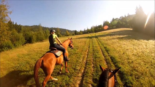 Dlhe Pole 11.09.2016 смотреть онлайн
