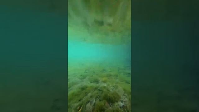 Голубое озеро_подводный мир смотреть онлайн