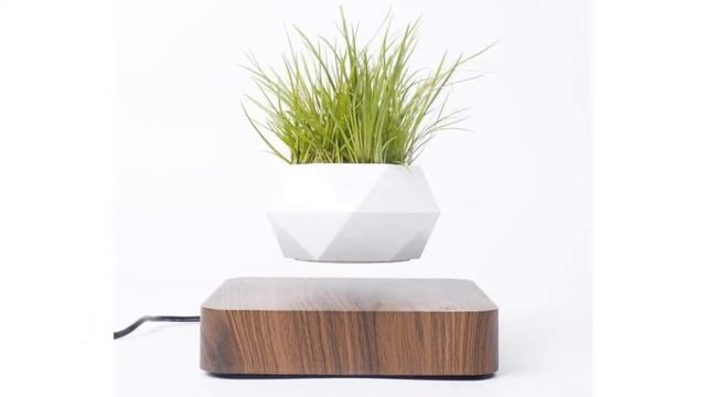 Левитирующий воздушный горшок для бонсай смотреть онлайн